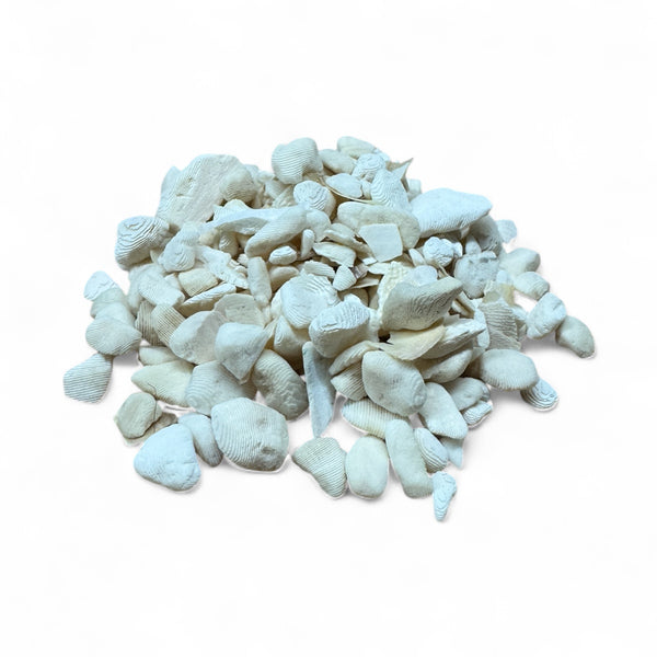 Sepia für Schildkröten - Calciumcarbonat