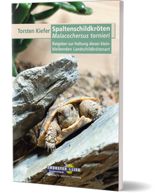 Spaltenschildkröten Malacochersus tornieri - Torsten Kiefer (Cover)