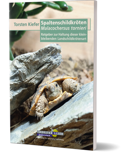 Spaltenschildkröten Malacochersus tornieri - Torsten Kiefer (Cover)