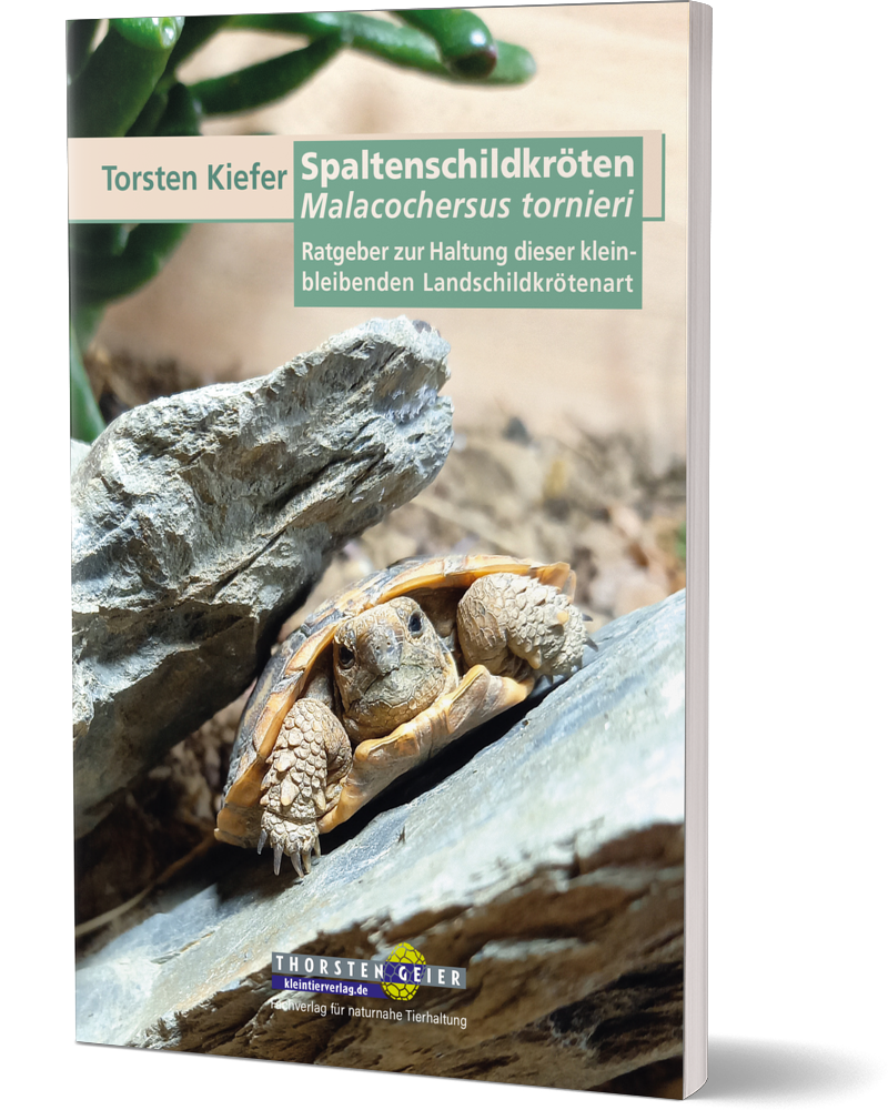 Spaltenschildkröten Malacochersus tornieri - Torsten Kiefer (Cover)