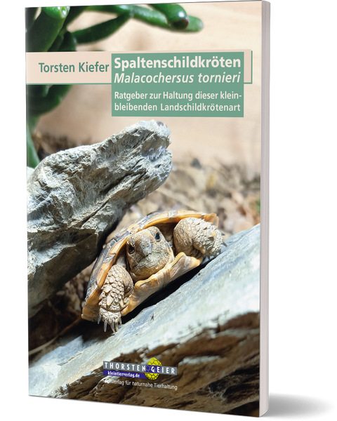 Spaltenschildkröten Malacochersus tornieri - Torsten Kiefer (Cover)