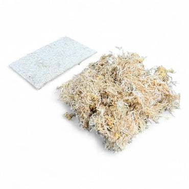 Sphagnum Moos Ziegel