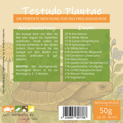 Testudo-Plantae - Saatgut für Landschildkröten