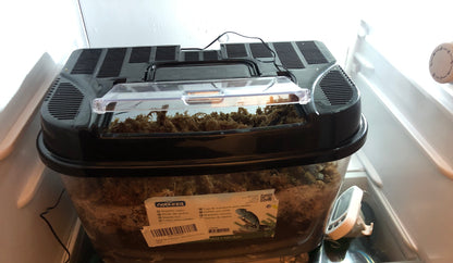 Überwinterungskiste mit Sphagnum Moos