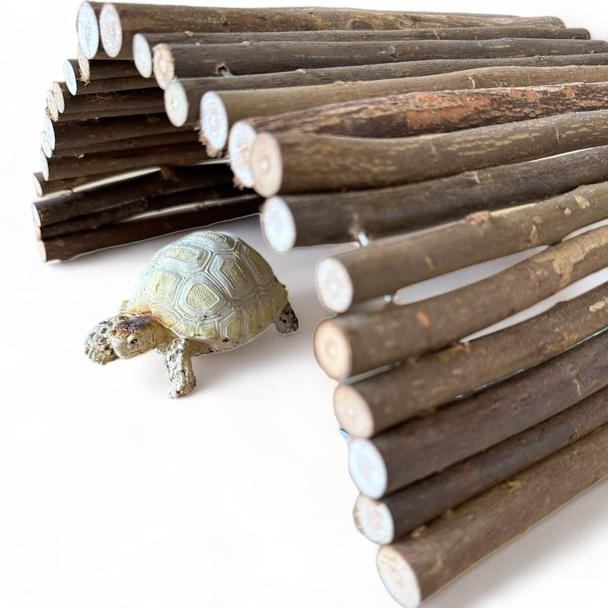 Weidenholzbrücke für Griechische Landschildkröte