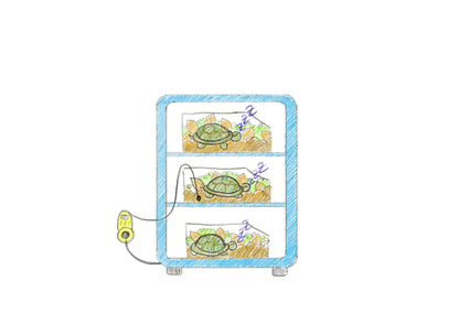 Schaubild Schildkröten-Überwinterung im Kühlschrank