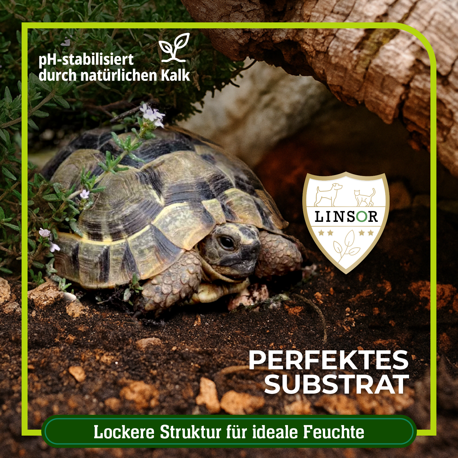 perfekte Schildkrötenerde mit natürlichem Kalk