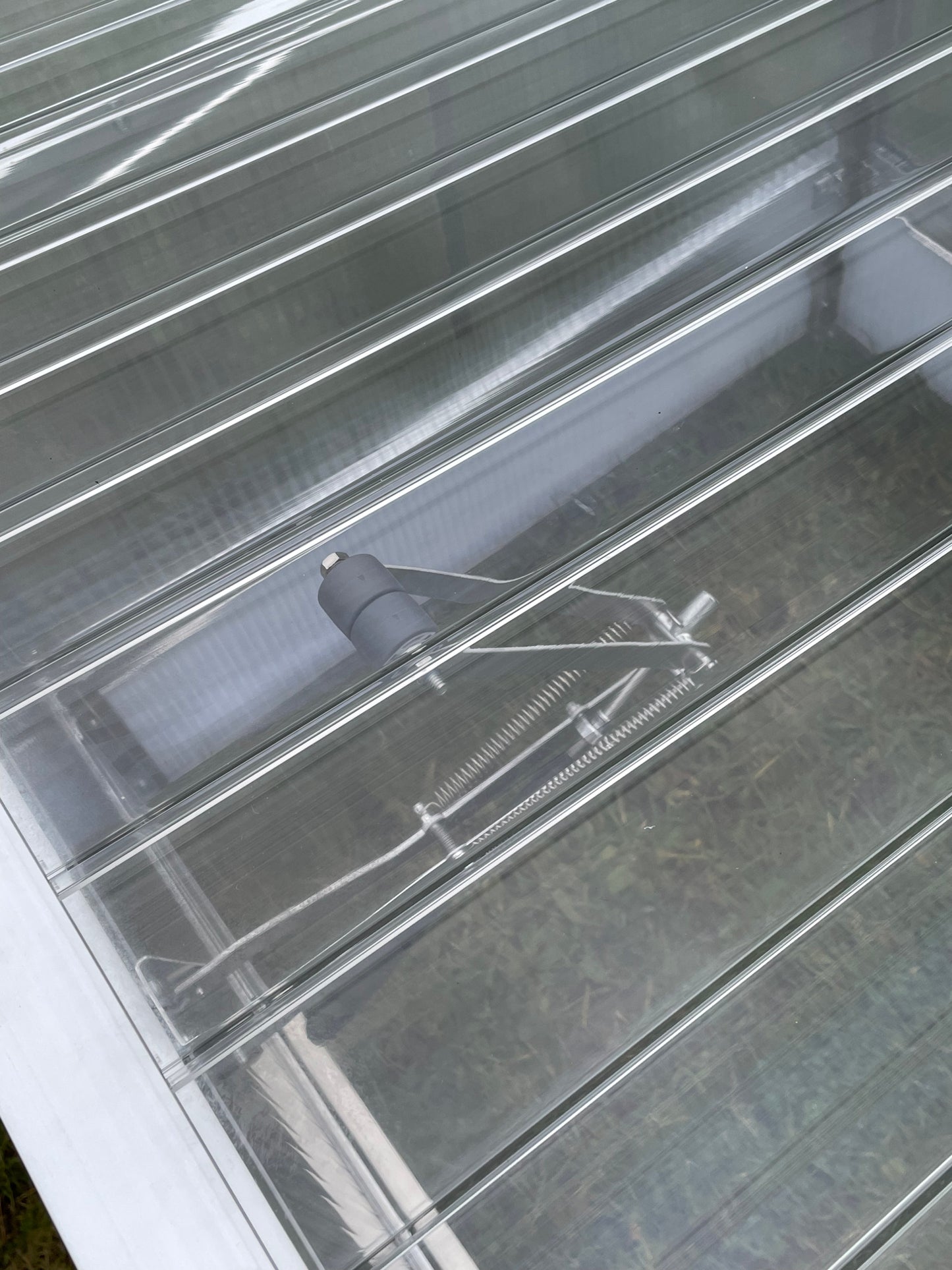 Automatischer Öffner in Rollenausführung für Schildkröten