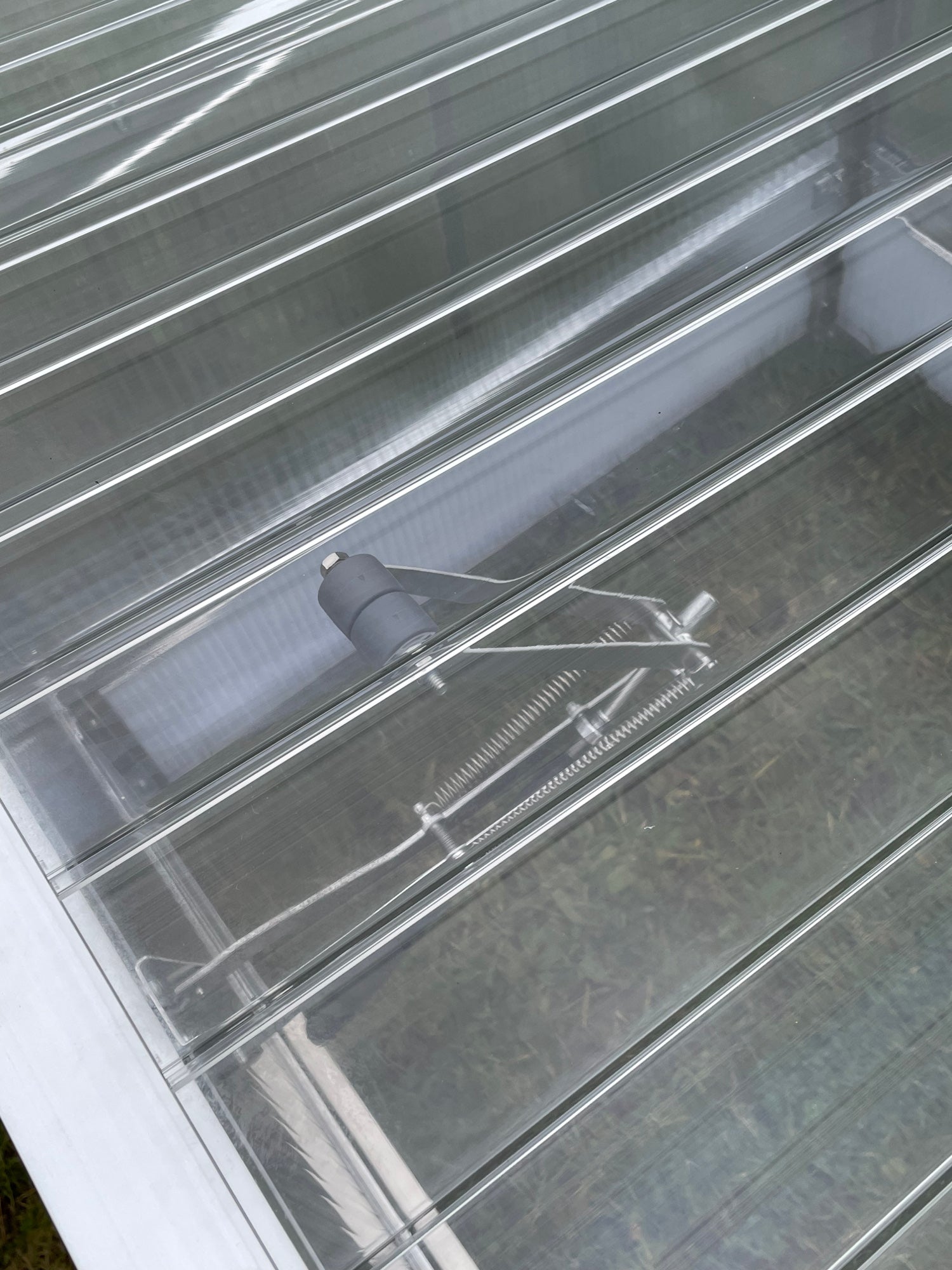 Automatischer Öffner in Rollenausführung für Schildkröten