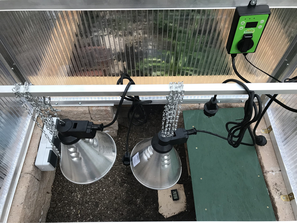 Bio Green Digital-Thermostat Thermo 2 im Schildkröten-Frühbeet