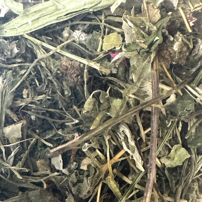 Ergänzungsfutter für Schildkröten und Nager