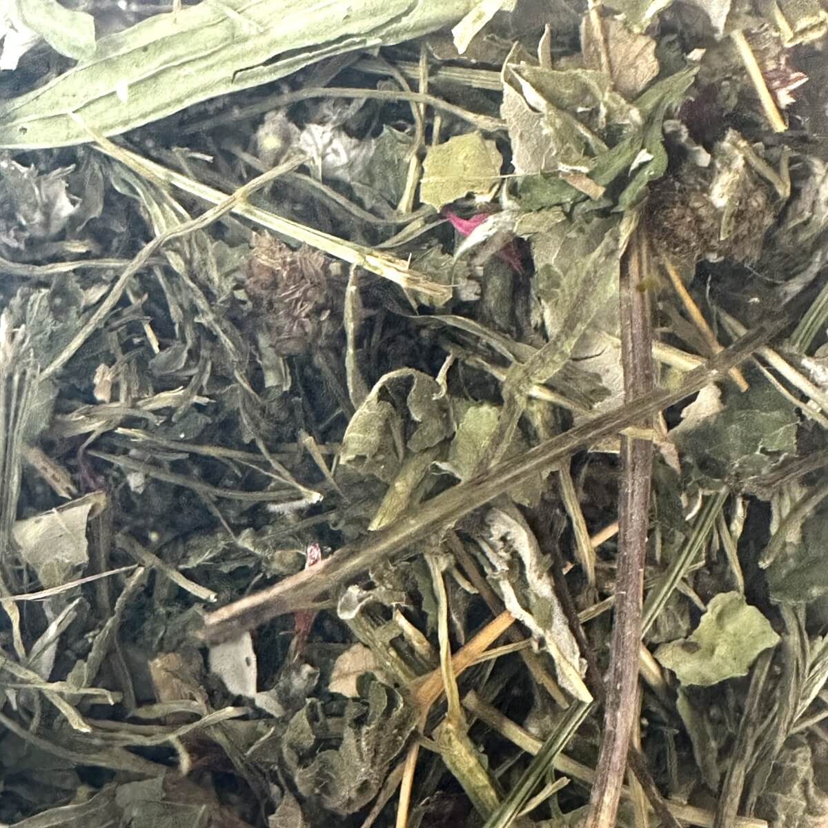 Ergänzungsfutter für Schildkröten und Nager