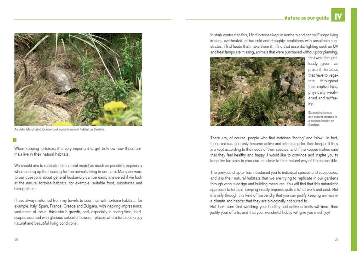 Book about Mediterranean Tortoises - Nature as our guide