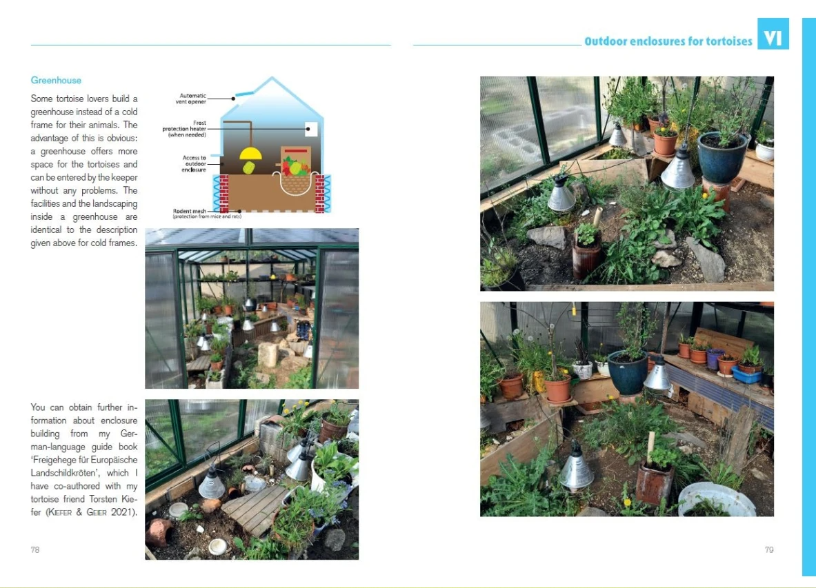 Book about Mediterranean Tortoises - Outdoor enclosures for tortoises 2
