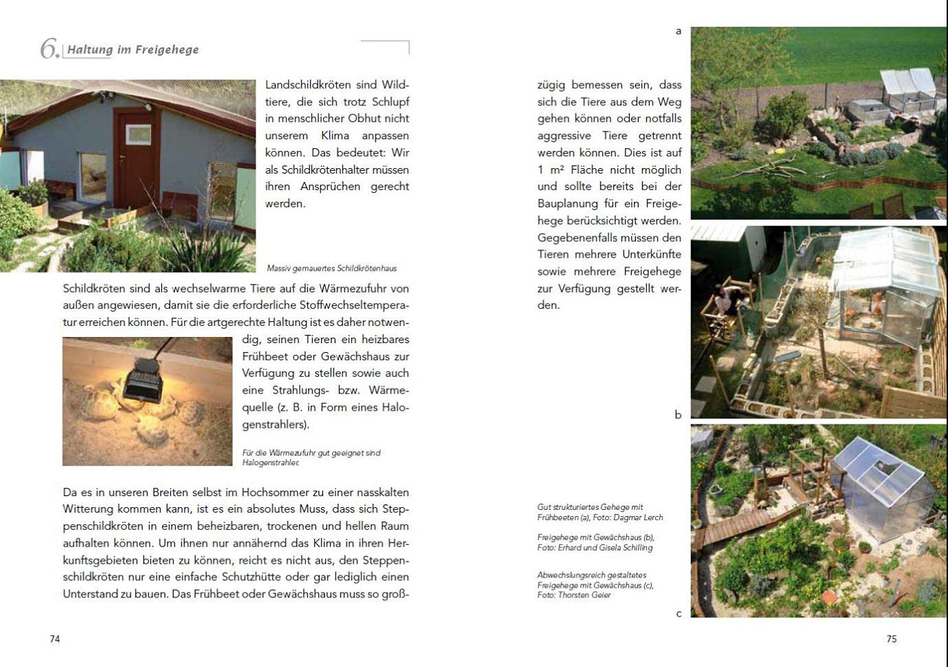 Die Haltung der Steppenschildkröten Agrionemys horsfieldii - Haltung im Freigehege