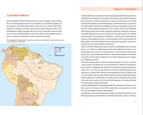 Die Köhlerschildkröte - Allgemeines