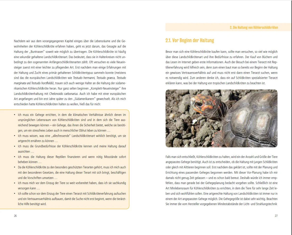 Die Köhlerschildkröte - Haltung