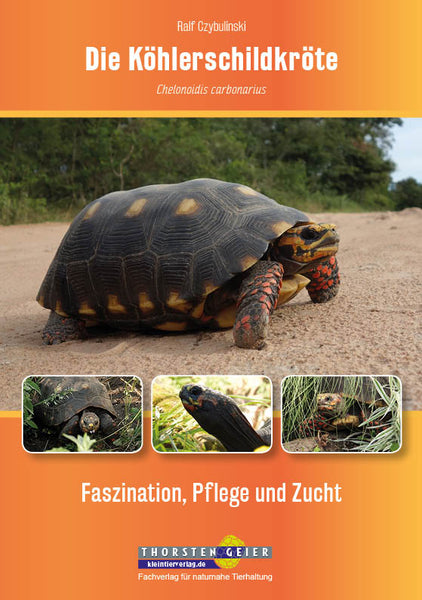 Die Köhlerschildkröte - Ralf Czybulinski - Cover