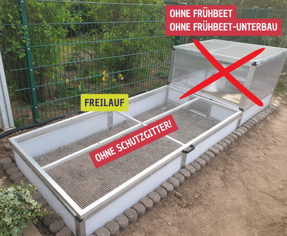 Freilauf für kleine Schildkröte