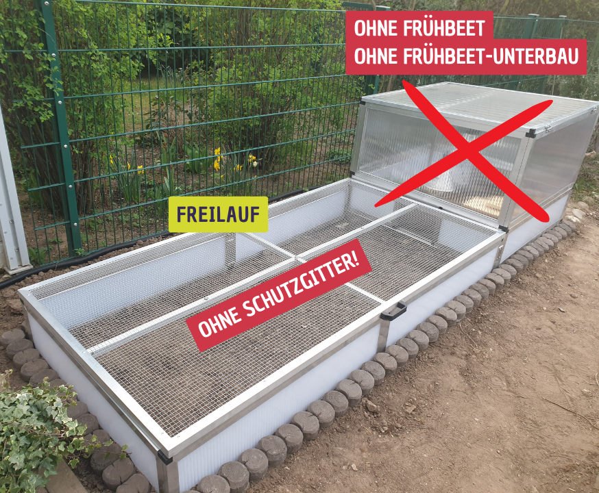 Freilauf für kleine Schildkröte