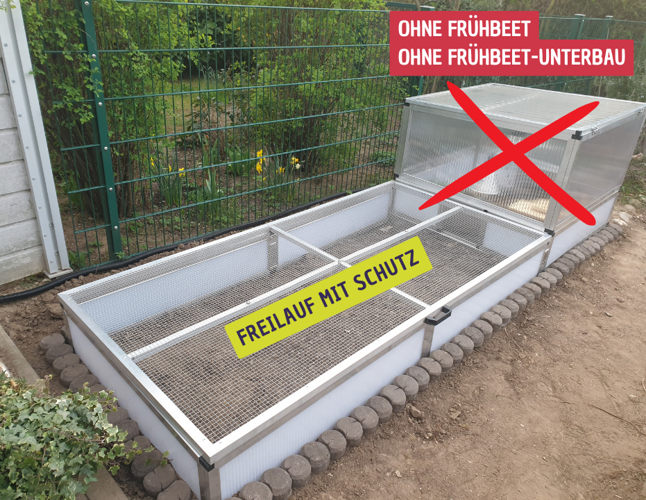 Gehege für Schlüpflinge