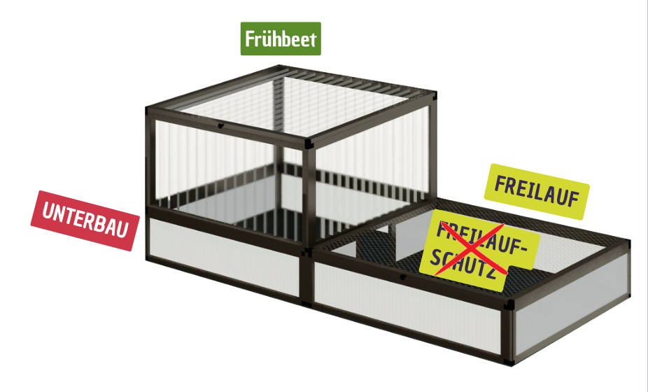 Freilauf für kleine Landschildkröte