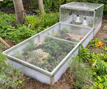 Freilauf für Jungtiere