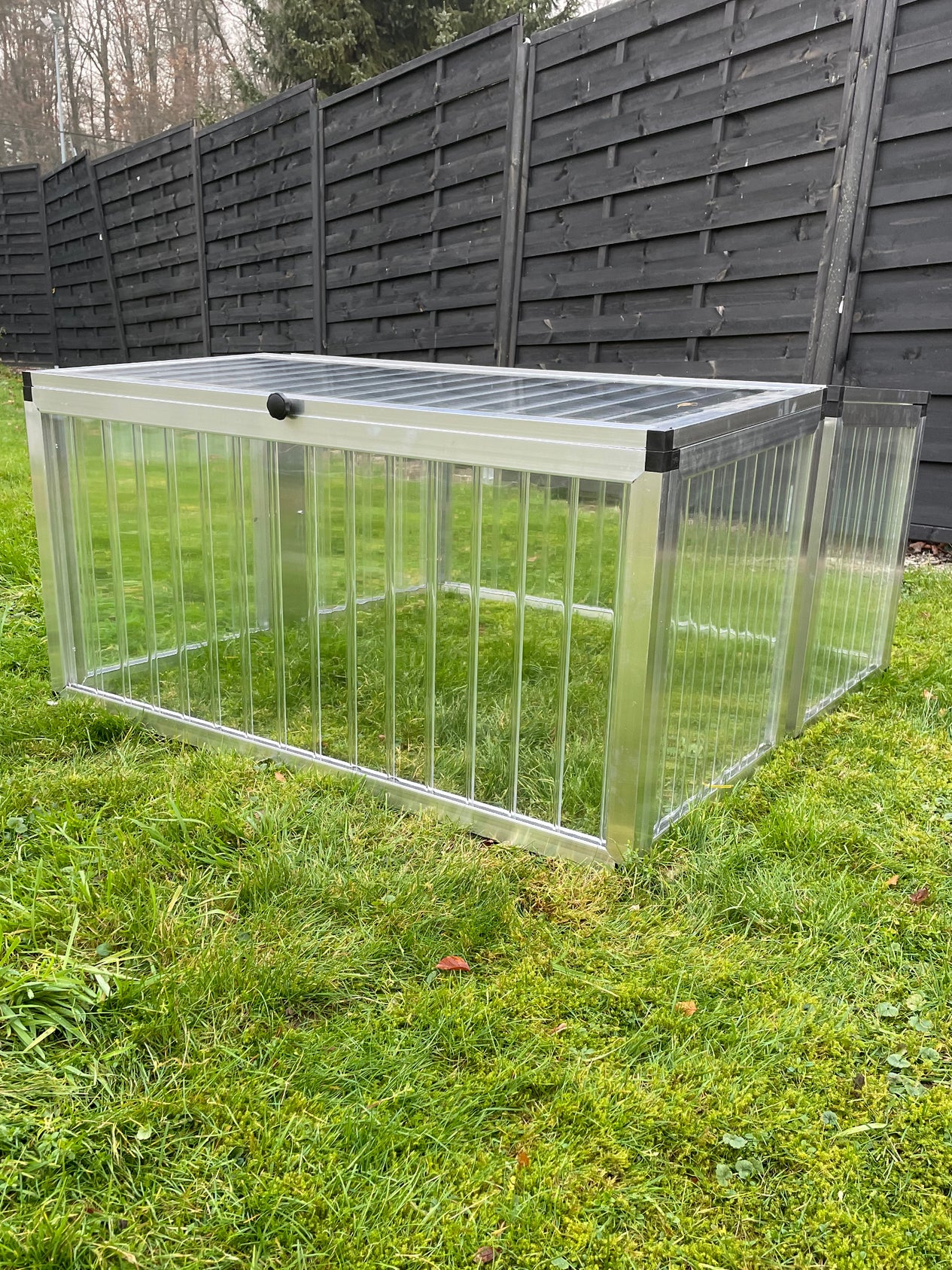 Frühbeet casa (125 x 125 cm) ALLTOP komplett