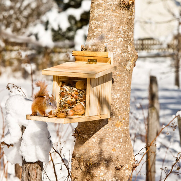 Futterstation für Eichhörnchen aus Holz