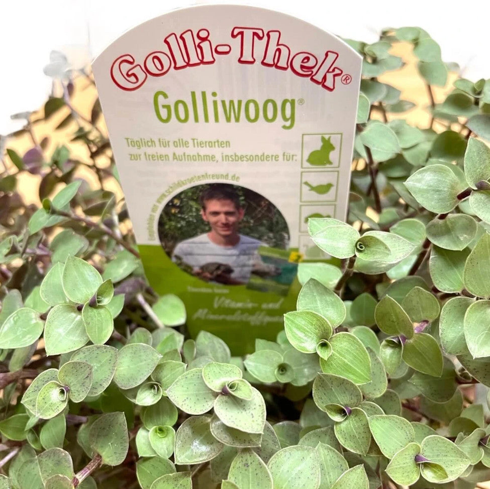 Golliwoog für Kaninchen, Vögel, Schildkröten und Katzen