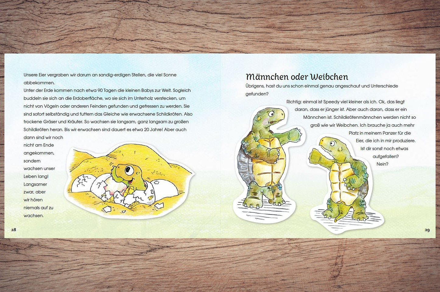 Kinderbuch - Männchen oder Weibchen