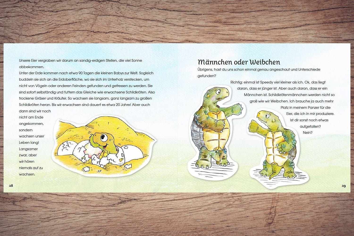Kinderbuch - Männchen oder Weibchen