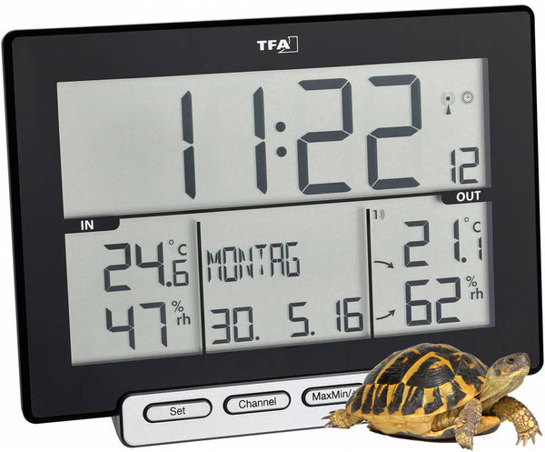 Hygrometer mit Schildkröte