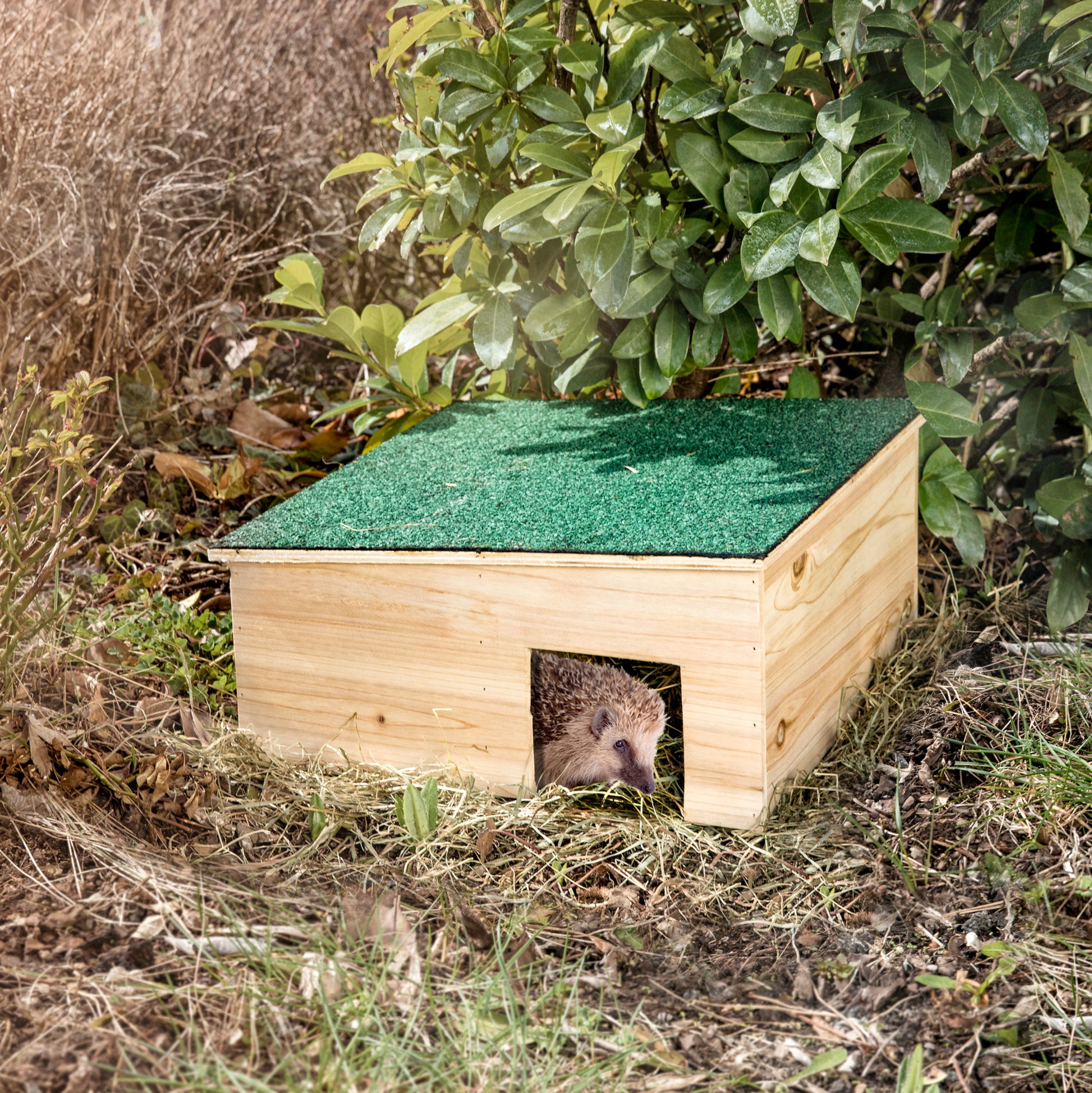 Igelhaus aus Holz zum Überwintern