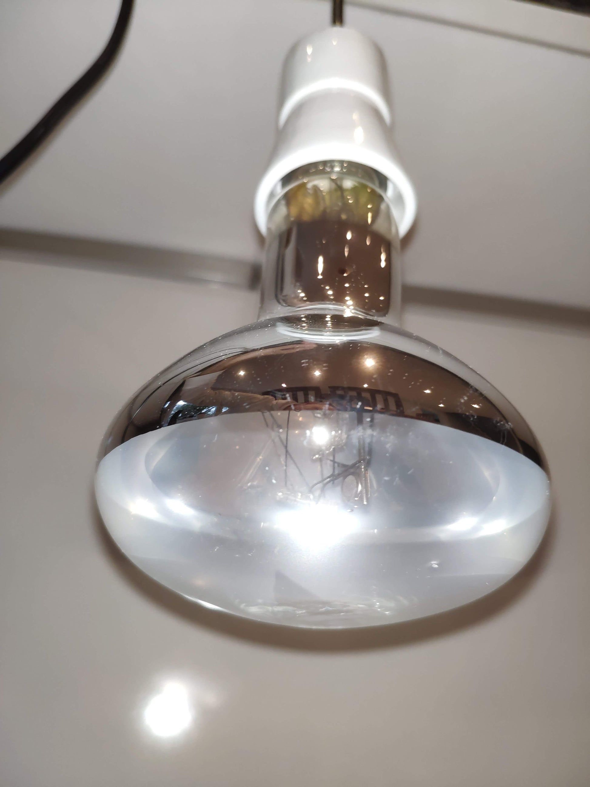 Komplettset mit UV-Lampe für Schildkröten