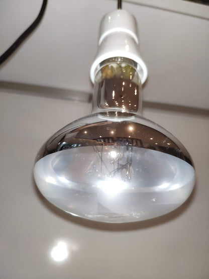 Komplettset mit UV-Lampe für Schildkröten