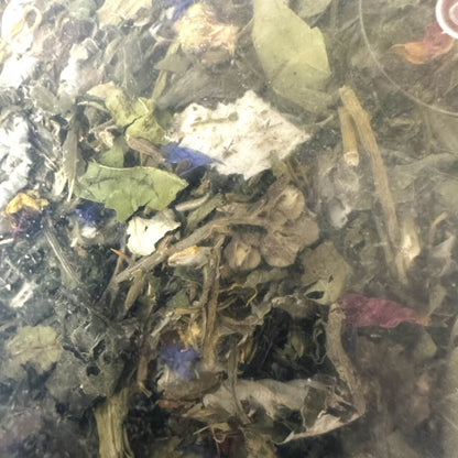 Kräuterwiese - 100 Prozent natürliches Schildkrötenfutter
