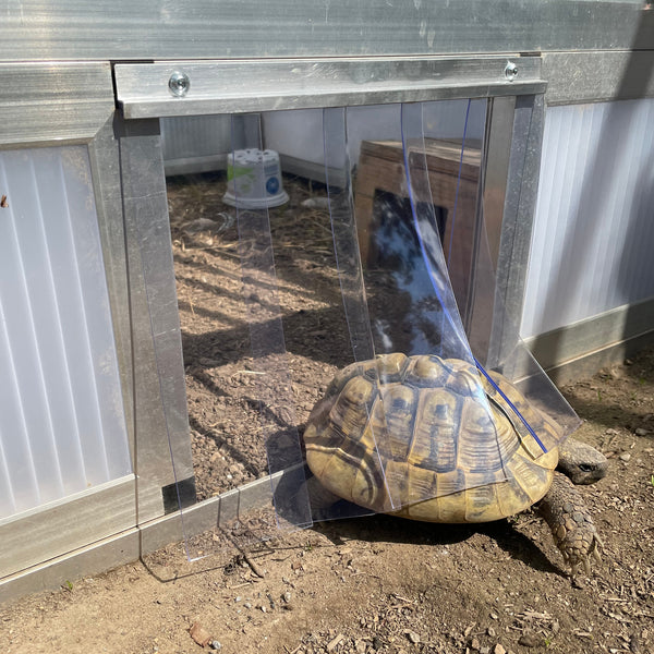 Lamellen am Eingang von Schildkrötenhaus