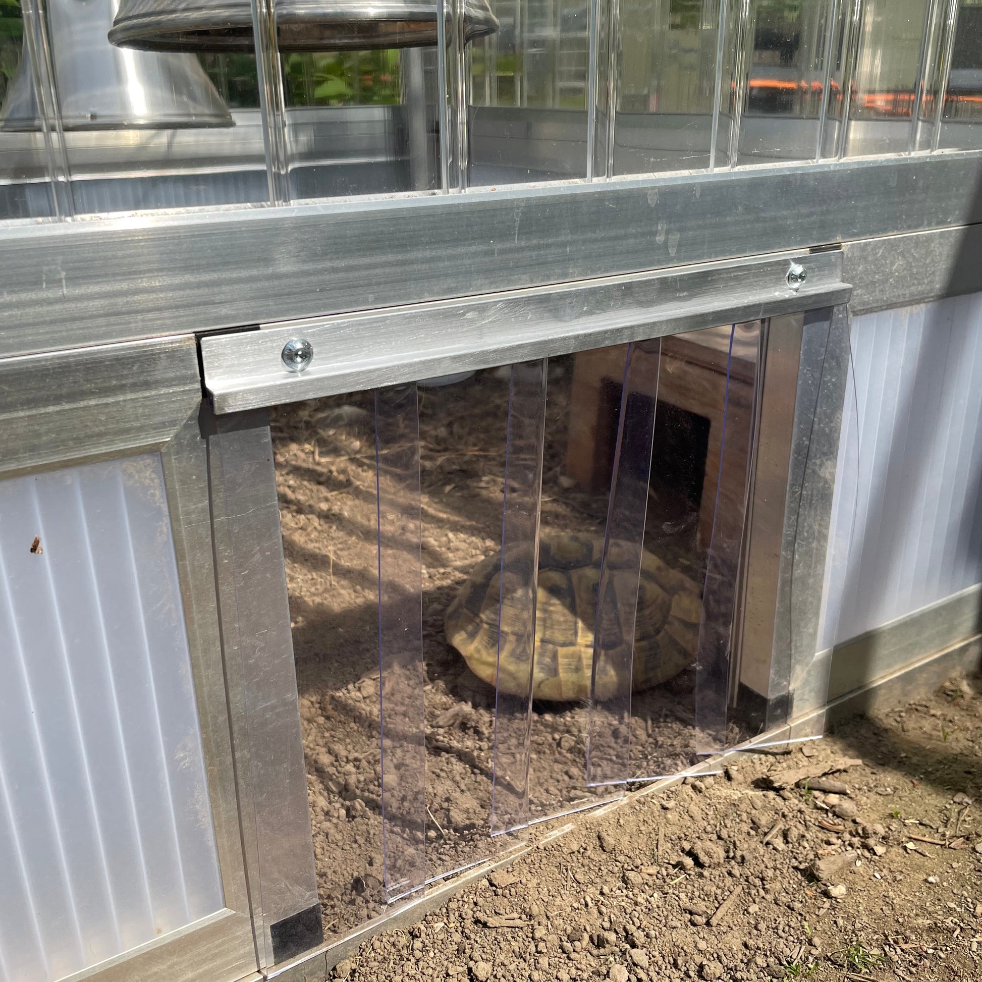 Lamellen für Schildkröten