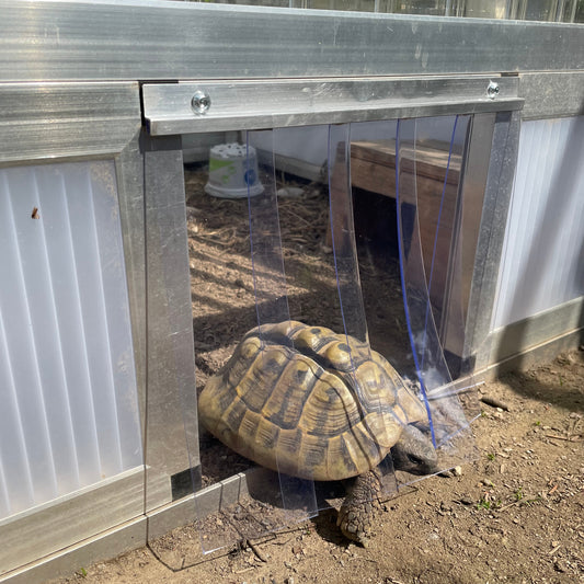 Lamellenvorhang Schildkröten-Frühbeet