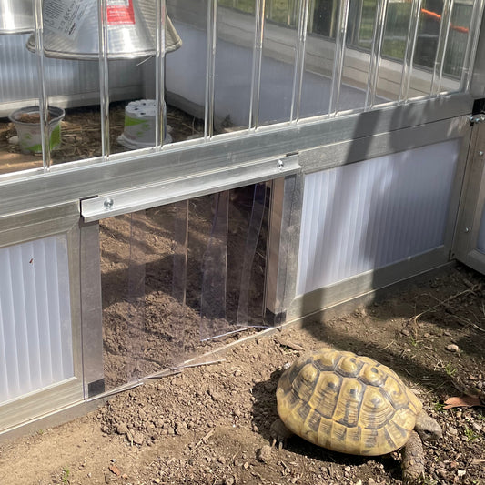 Lamellenvorhang für Schildkröten