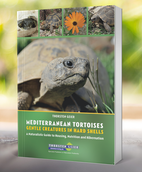 Edible plants for a natural diet Raising hatchlings an juveniles Hibernation Healthy tortoises Successful breeding Species protection and legal requirements But also avoiding mistakes in tortoise husbandry and many other things.