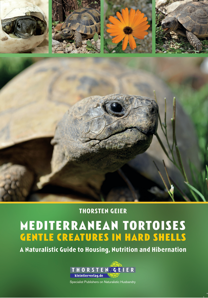 MEDITERRANEAN TORTOISES - GENTLE CREATURES IN HARD SHELLS - front