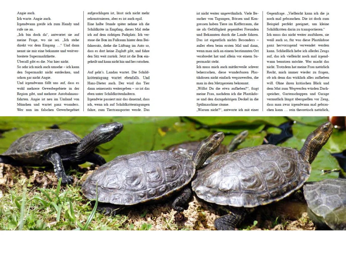 Manchmal sind es Mistviecher - Plastikdosen
