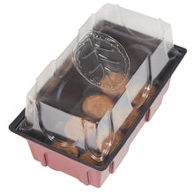 Mini-Zimmer-Treibhaus mit Quelltabs