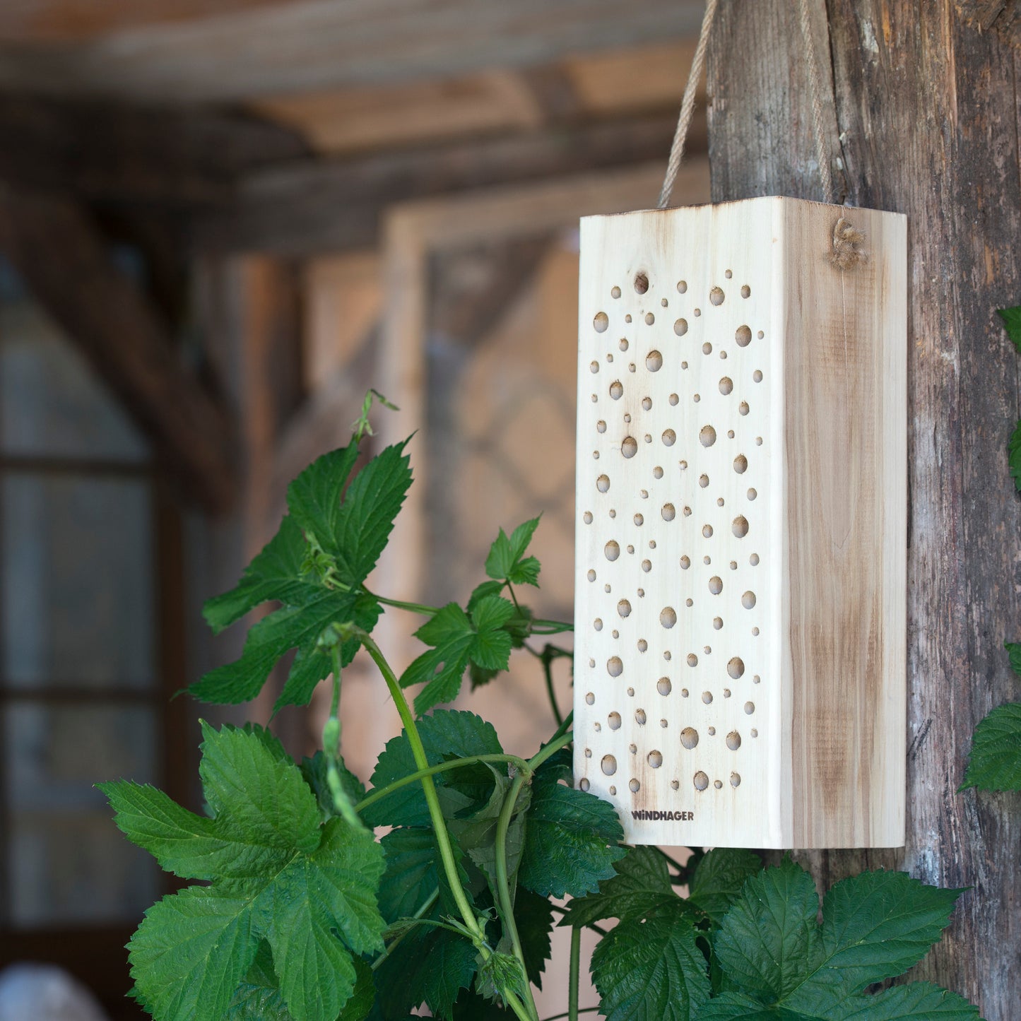 Nisthilfe für Wildbienen