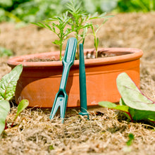 Pikier-Set für Setzlinge
