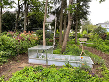 Freilauf für Nachzuchten