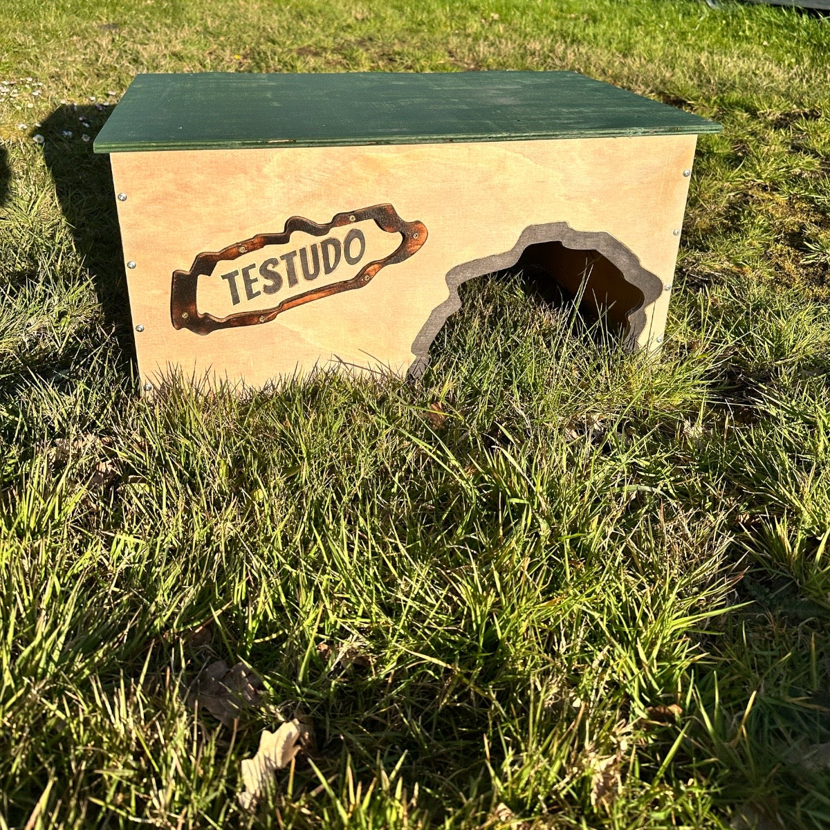 Schildkrötenhaus Testudo