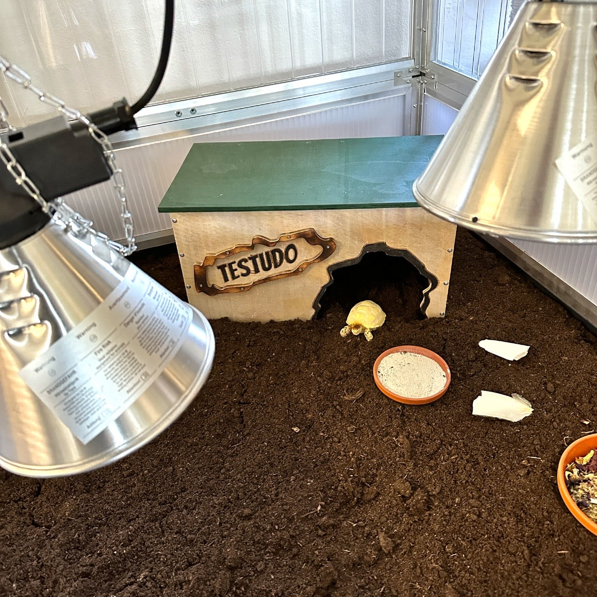 Schildkrötenhaus aus Holz im Frühbeet